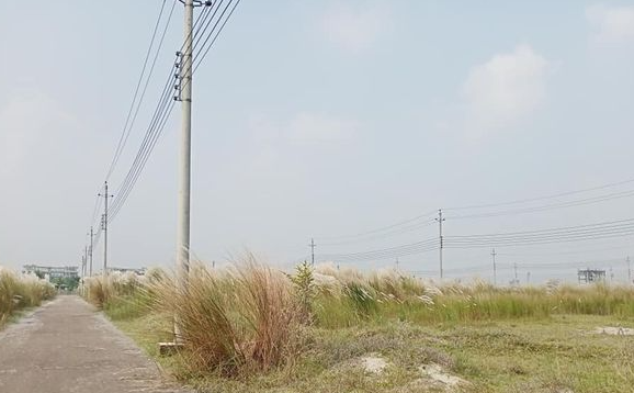 বসুন্ধরা পি এক্সটেনশন ব্লকে ৪ কাঠার কর্নার প্লট বিক্রয় হবে